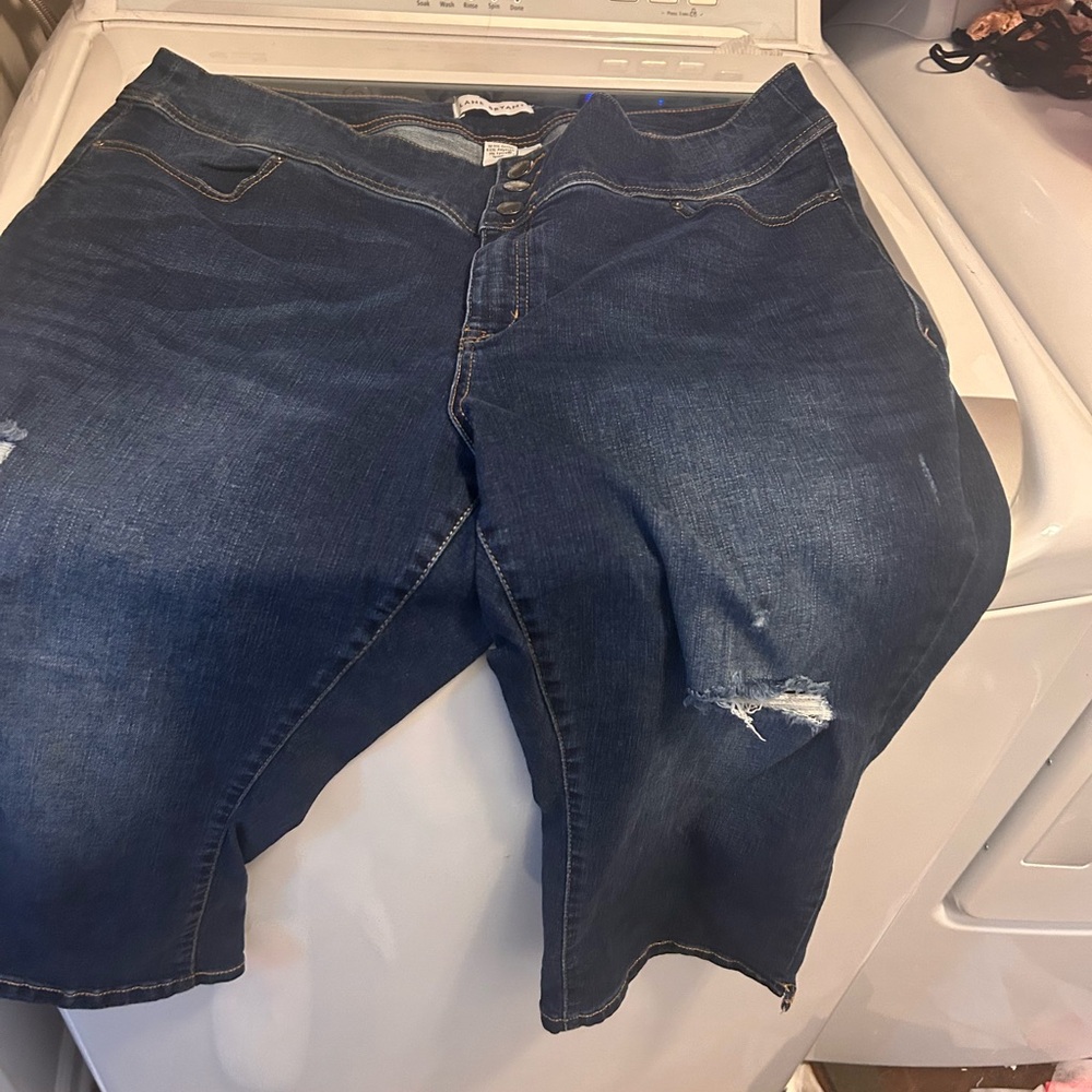 Lane Bryant Blue Denim Shorts